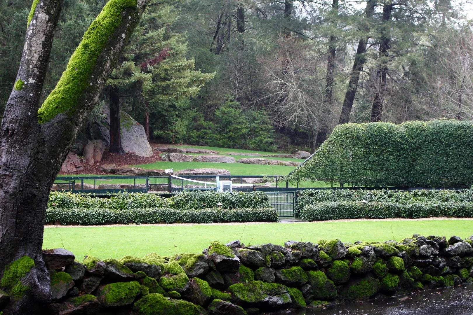 Meadowood Napa Valley serene trails